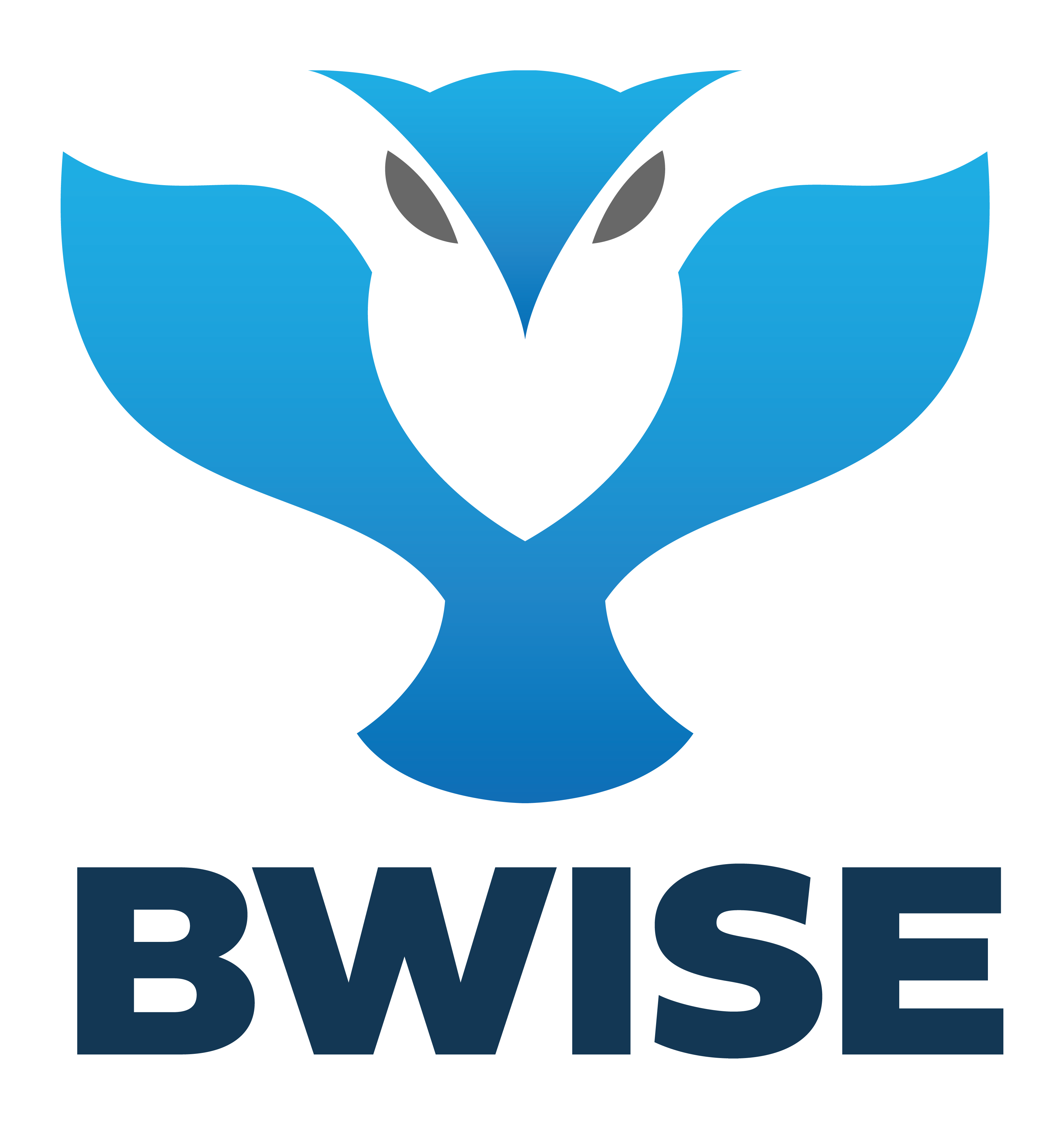 BWISE Logo